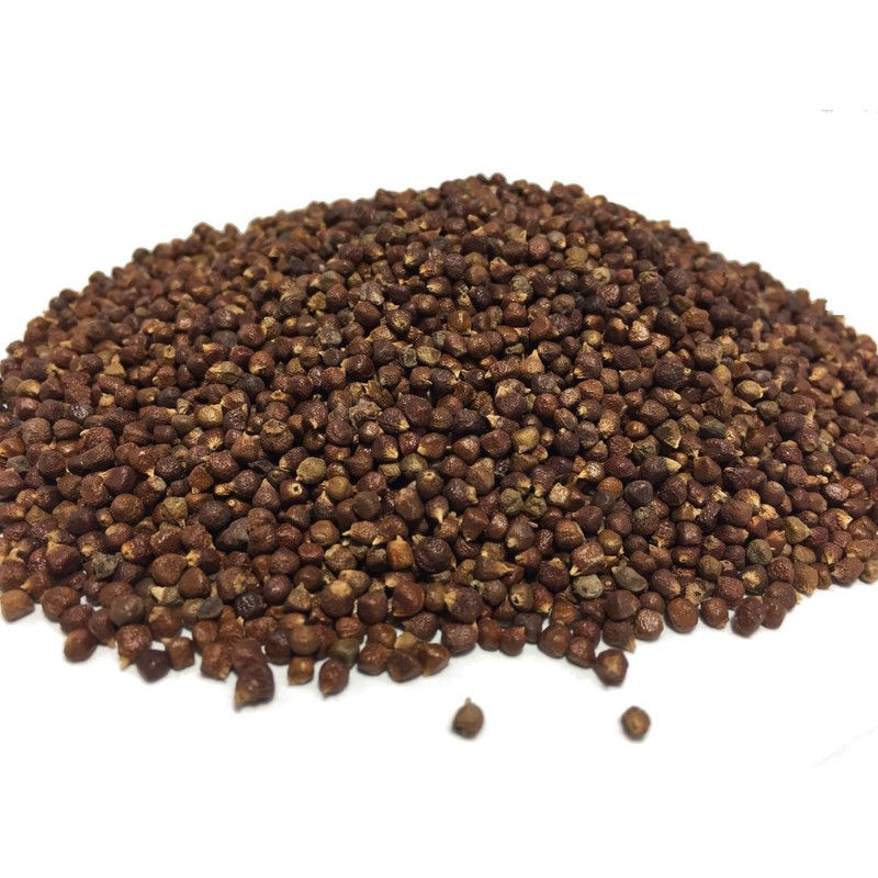 Grains of Paradise in a plastic bag - (1 lb.