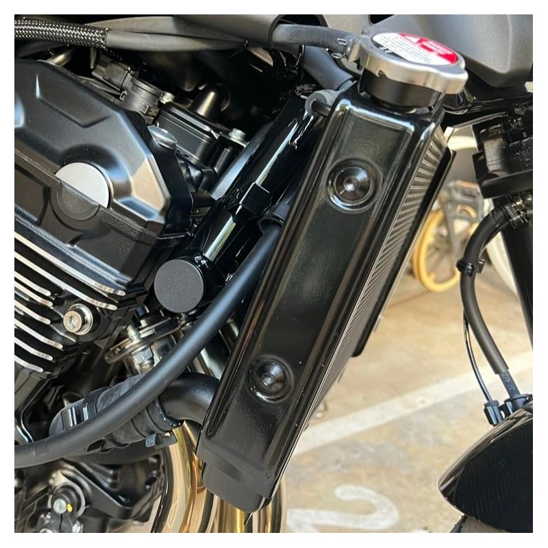 For FATFATPIZZA Z900RS Radiator Side Cover Titanium Bolt Set Black