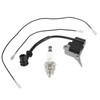 Ignition Coil Module With Spark Plug For Zenoah/Timberpro/Lawnflite Chainsaw Replacement
