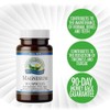 Magnesium (80 mg magnesium, 350 mg malic acid)