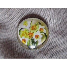 GLASS DOME PICT BUTTON - BEAUTIFUL YELLOW DAFFODILS FLOWERS - 30mm