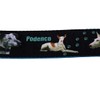Halsband "Podenco" Größe SM bis 40 cm Halsumfang