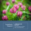Eclectic Herb - Lymph & Blood Cleanse | Lymphatic &