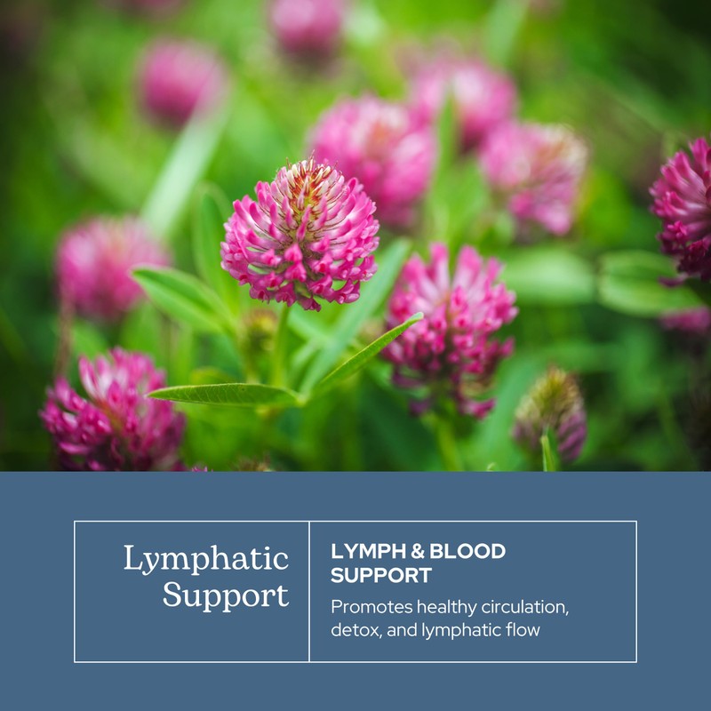 Eclectic Herb - Lymph & Blood Cleanse | Lymphatic &