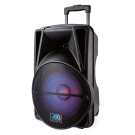ATG Audio 12" Portable Bluetooth Pairing Speaker - ATGDJ12SP