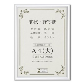 Daisen J091B2501 A4 Large Frame Award Plaque All Light Aluminum