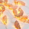 20 LED 2.5m Fairy String Light for Bedroom Lawn Landscape