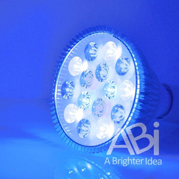 ABI LED Aquarium Grow Light Bulb, 12W (Royal Blue 450-470nm + Cold White 15000K)