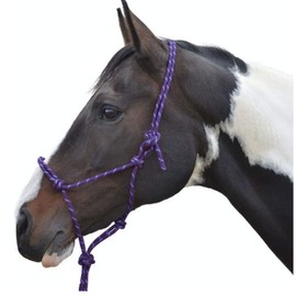 Hy Rope Halter Navy Cob/Full