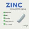 Vitday Zinc Cápsulas Gluconato Cobre Estearato Magnesio Suplemento Alimenticio 100