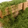 VYNYJOAN Fake Moss Green Artificial Moss for Potted Plant, 5.3OZ