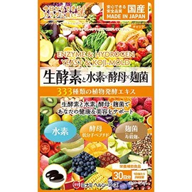 Minami Healthy Foods Raw Enzymes and Hydrogen x Yeast x Koji Mushroom 60 Balls