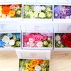 Azurosa Photo Frame Preserved Flowers Gift Box Lavender Pink