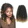 14 Inch 10 Packs Yanky Twist Crochet Hair Pre-twisted Ombre