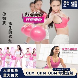 25cm Anti-Burst Yoga Pilates Gym Ball for Foldable Pilates Equipment Free Size/Grey 10ea