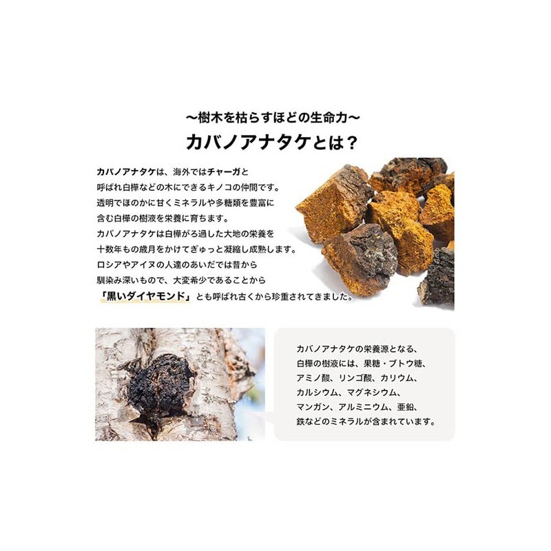 Birch Ana Mushroom Tea, 0.04 oz (1 g) x 30