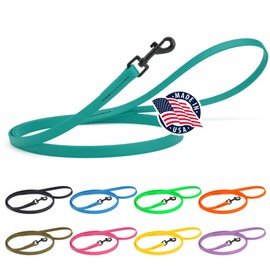 Dogline Biothane Waterproof Dog Leash Strong Coated Nylon Webbing with Black Hardware Odor-Proof Easy to Clean High Performance for Small or Large Dogs Made in USA 4 or 6 ft Lead, Blue Aqua