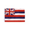 Flaggenfritze® USA Hawaii Flag 30 x 45 cm