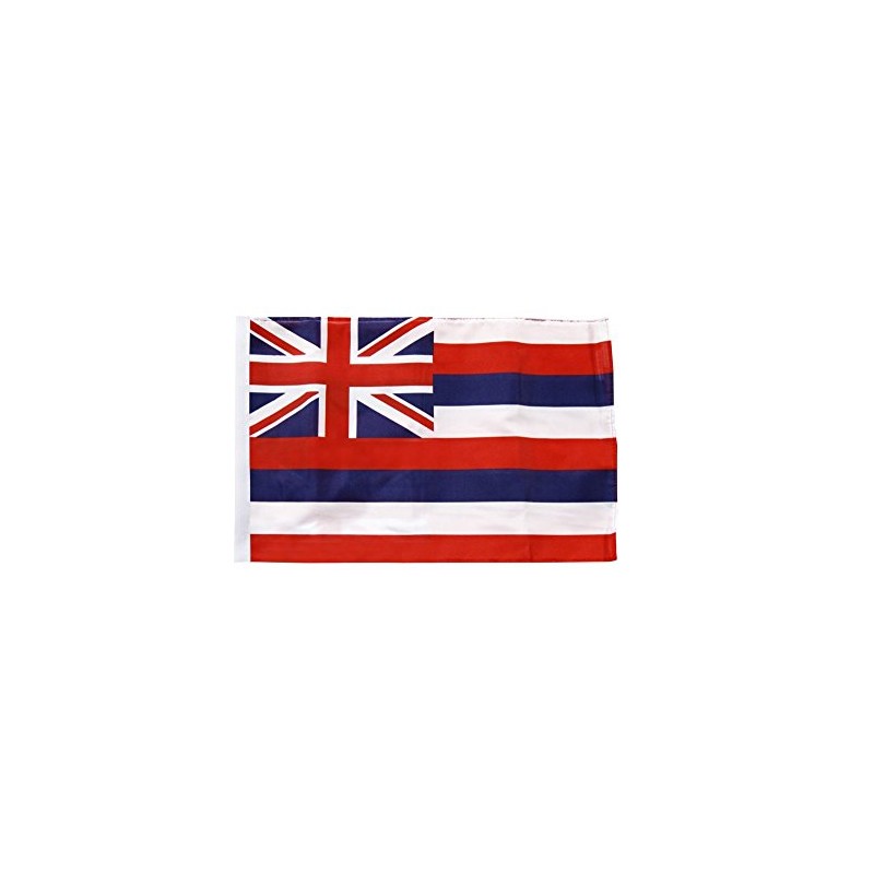 Flaggenfritze® USA Hawaii Flag 30 x 45 cm