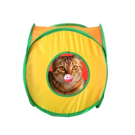 ‌Coolcandy Cat Tunnel & Interactive Cat Toy Indoor, Cube Shape Tunnel Toys for Indoor Cats, Collapsible Interactive Peekaboo Cave with Play Ball, for Multi-Way Play & Small Animals