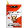 Spicy Citrus Flavored Cinnamon Toothpicks - 100ct