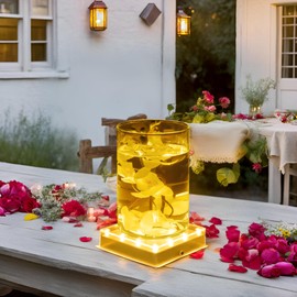 Simplelight 5 Inch Square Led Light Base - Light Base for Glass Art, Ideal Led Display for Vases - Lighted Base for Glass Art (5inch Square LED Vase Base Light, Soft White)