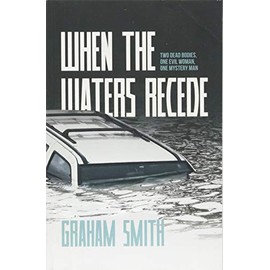 When The Waters Recede: A DI Harry Evans Novel: 3