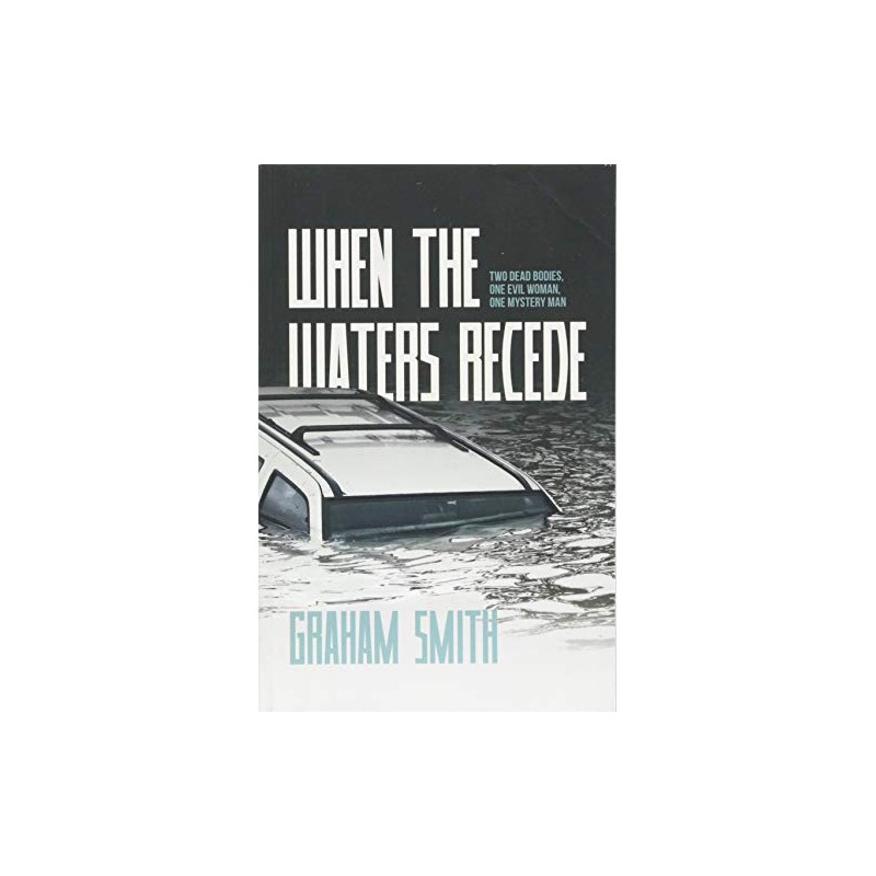 When The Waters Recede: A DI Harry Evans Novel: 3