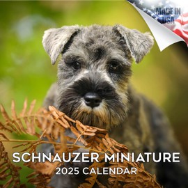 2024 2025 Miniature Schnauzer Calendar - Dog Breed Monthly Wall Calendar - 12 x 24 Open - Thick No-Bleed Paper - Giftable - Academic Teacher's Planner Calendar Organizing & Planning
