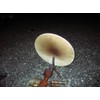 8 Inch Round Pizza Stone