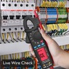 1mA DC Clamp Meter True RMS 6000 Counts Auto-Ranging Digital