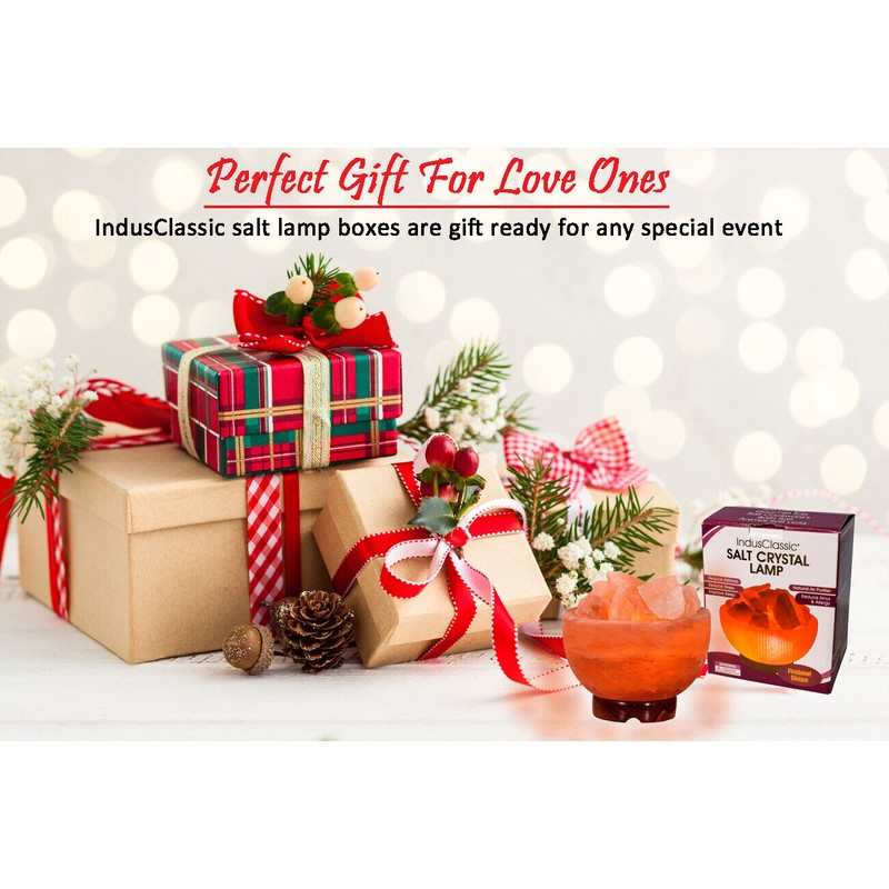 IndusClassic Fire Bowl Himalayan Crystal Salt Lamp Ionizer Air Purifier