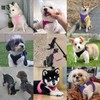 PWOD Dog Harness with Leash Set, No-Pull Step-in Reflective Pet