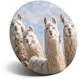 Destination Vinyl ltd Magnet for Refrigerator, Fridge - Cute Funky White Llama Alpaca Herd for Office, Cabinet and Whiteboard, Magnetic Stickers, 16805