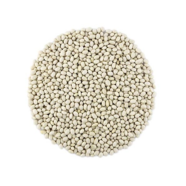 Primal Harvest Organic Navy Beans Raw non GMO Vegan Bulk