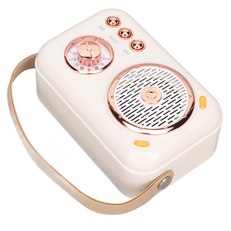 Karaoke Machine Multifunction Enhanced Bass 6 Modes Portable Bluetooth PA