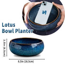 Oncpcare Lotus Bowl Planter – Glazed Ceramic Indoor Plant Bowl Lotus Pot for Lotus Seeds, Bonsai, Succulents | Shallow Hydroponic Decorative Oriental Flower Bowl (Green)