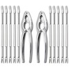 Artcome 12 Pieces Seafood Tools Set Including 2 Lobster Crab