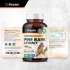 BIO KRAUTER Pine Bark Extract Capsules 400 mg - 100
