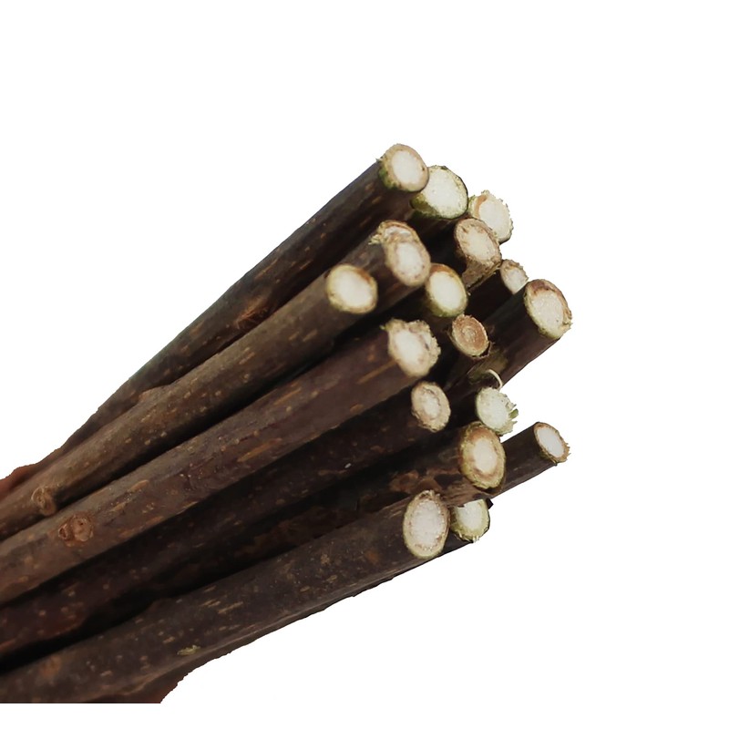 Penn-Plax Cat-Life Silvervine Sticks for Cats – Natural Chew Toy