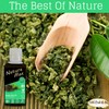 Nature Max Green Tea Oil Pure & Natural Cold Pressed