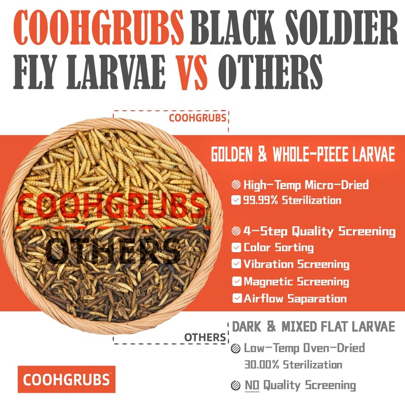 COOHGRUBS Dried Black Soldier Fly Larvae for Chickens, High-Calcium 85X