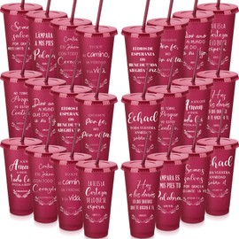 Funnymoom 24 Packs Inspirational Christian Gift for Women Men Spanish Bible Verse Tumbler Bulk 24 oz Plastic Tumblers with Lids and Straw Religious Cup Church Gifts for Sunday School (Wine Red)