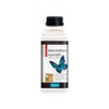 Polyvine Decorator's Varnish Satin Finish Pint / 500ml
