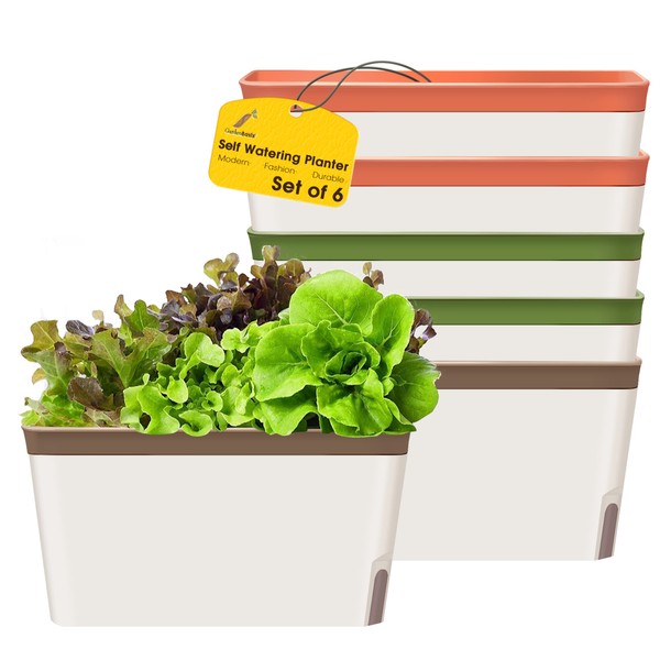 GardenBasix Self Watering Planter Pots Window Box for Indoor Plants
