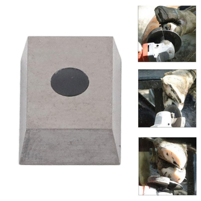 Stainless Steel Cattle Hoof Trimming Blade Cutter Disc Accessory for