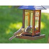 Wagner's 52023 Black Oil Sunflower Seed Wild Bird Food, 5-Pound