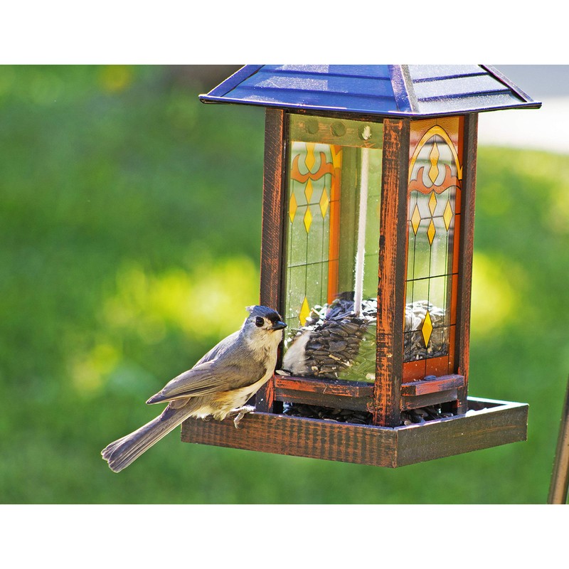 Wagner's 52023 Black Oil Sunflower Seed Wild Bird Food, 5-Pound