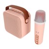 Mini Karaoke Machine Set Portable Bluetooth Speaker with 1 Wireless