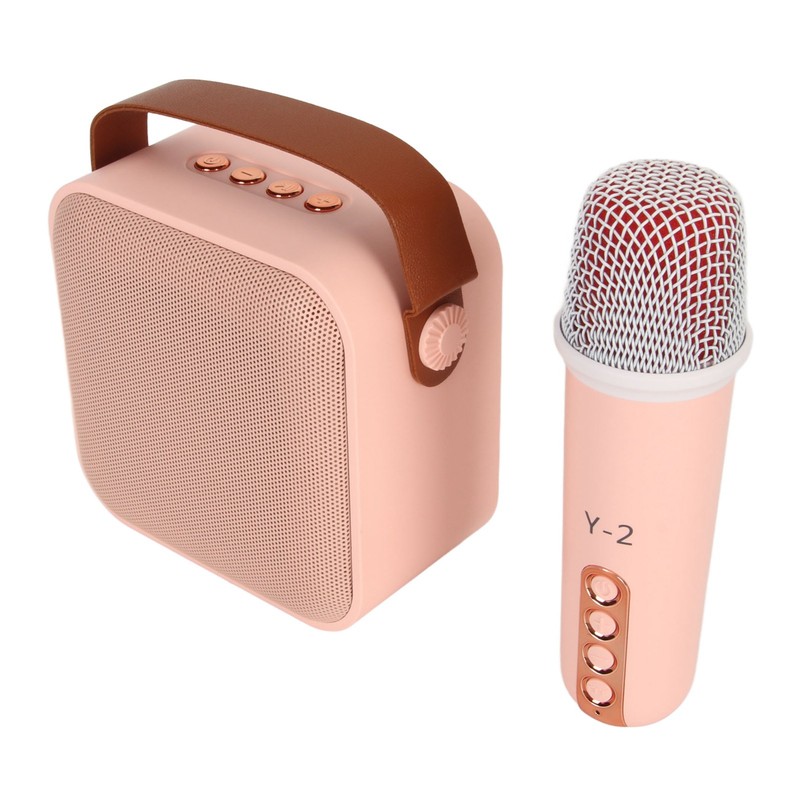 Mini Karaoke Machine Set Portable Bluetooth Speaker with 1 Wireless